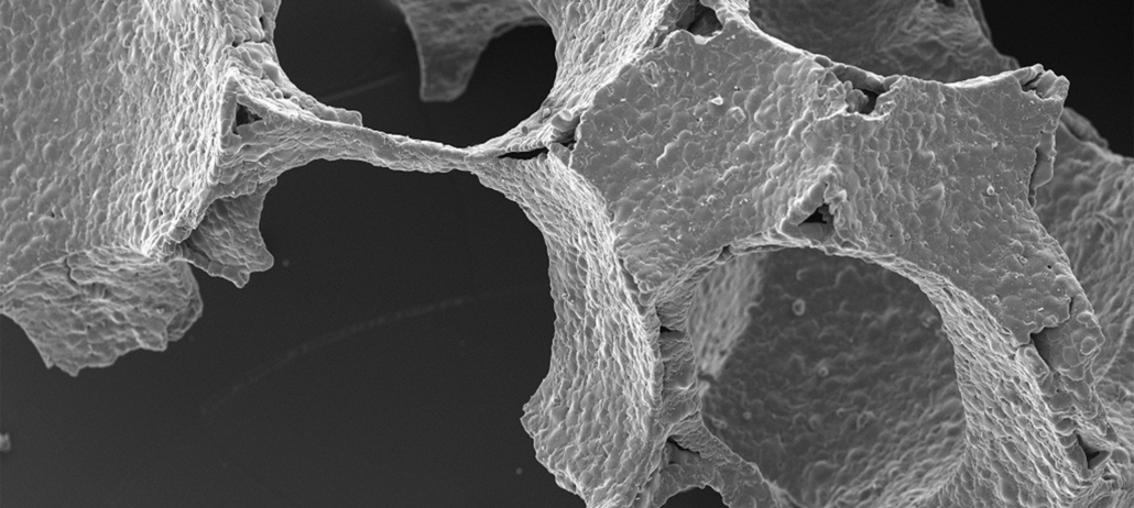 CERASORB® Bioactive